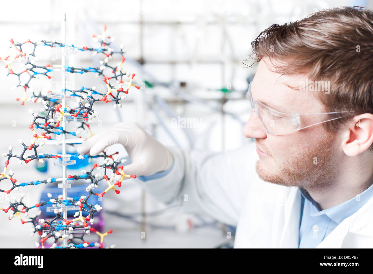 Deutschland, Nachwuchswissenschaftler mit DNA-Modell Stockfoto