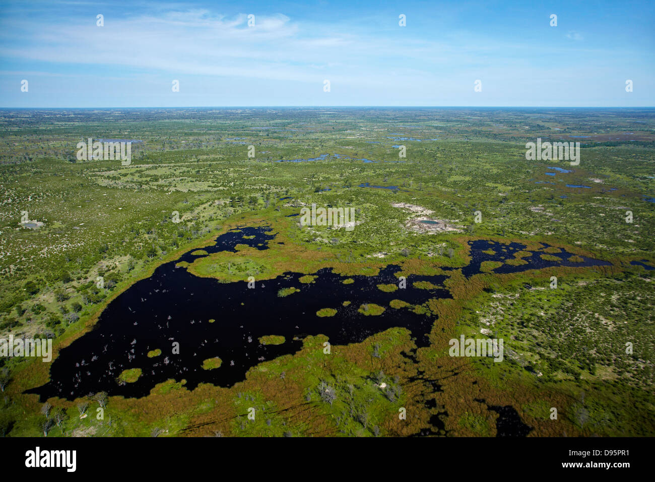 Okavango Delta, Botswana, Afrika-Antenne Stockfoto