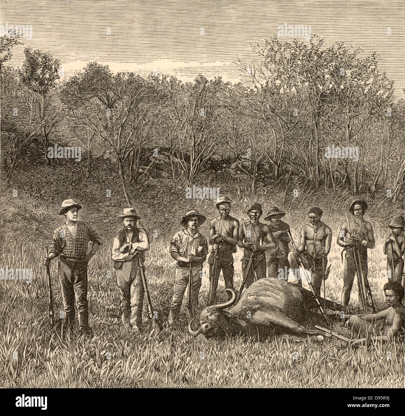 Großwildjagd in Transvaal, Afrika.  Posieren auf einem Büffel Jäger erschossen haben. Holzstich c1890. Stockfoto