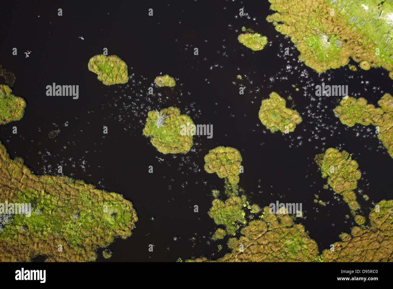 Okavango Delta, Botswana, Afrika-Antenne Stockfoto