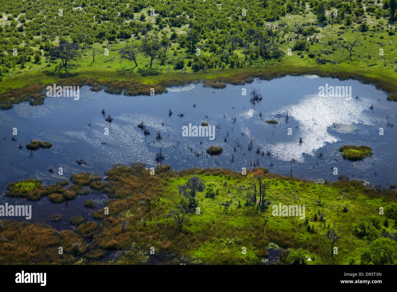 Okavango Delta, Botswana, Afrika-Antenne Stockfoto