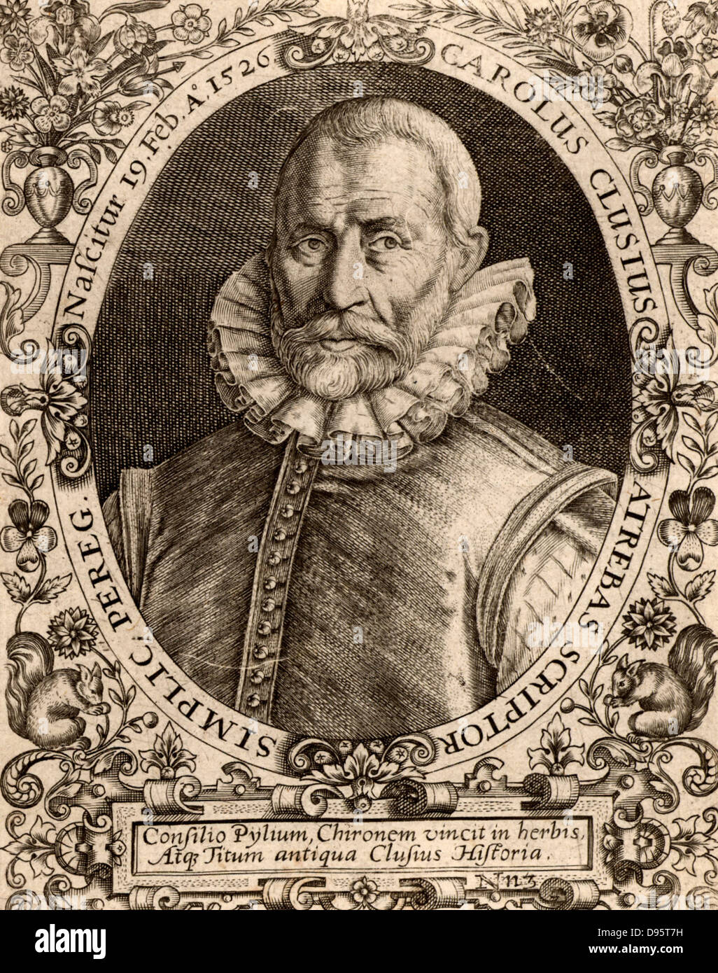 Carolus Clusius (Charles l'Escluse) (1526-1609). Französischer Botaniker, Professor der Botanik an der Universität Leyden. Kupferstich von De Bry. Stockfoto