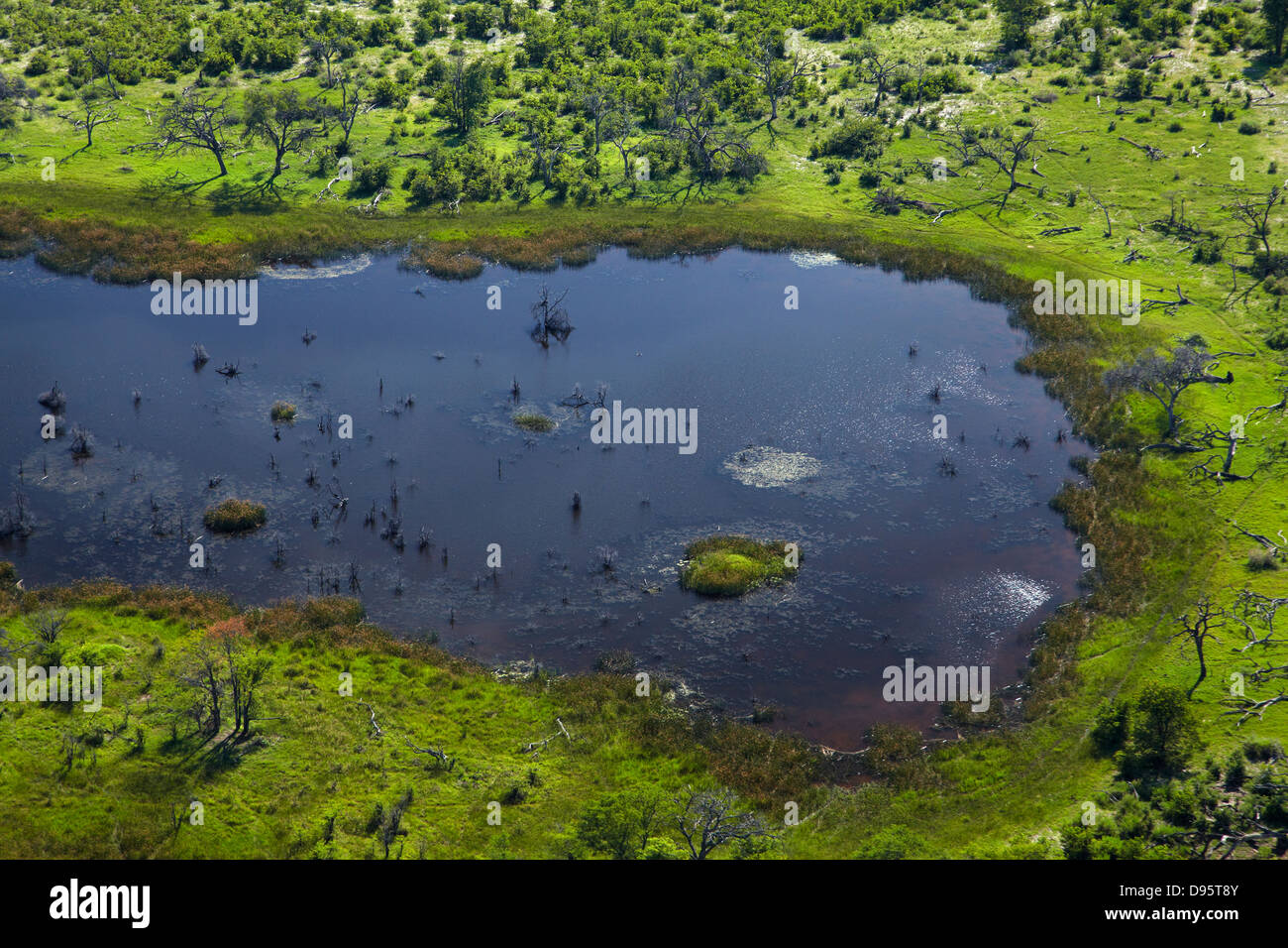 Okavango Delta, Botswana, Afrika-Antenne Stockfoto