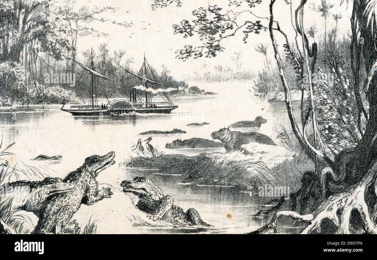 David Livingstone (1813-1873) Schottischer Missionar und Afrikanischen Explorer. Livingstone's Dampfer bin ein - Robert' auf einem Krokodil verseuchten Zambesi River. Von "Das Leben und die Forschungen von David Livingstone 'c 1878. Getönte Lithographie Stockfoto