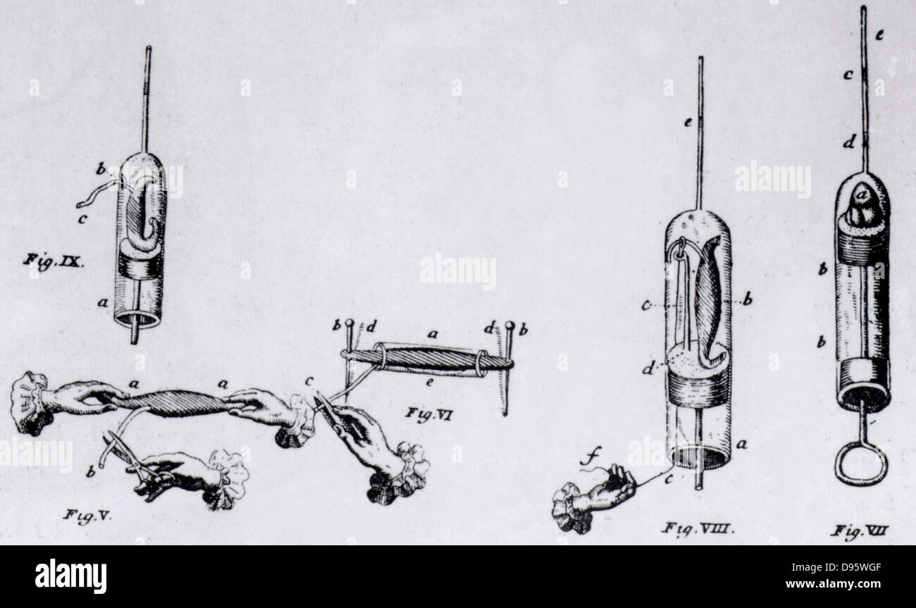 Jan Swammerdam (1637-1680) holländische Naturforscher. Swammerdam der Beobachtungen auf die Kontraktion des Muskels. V: seziert Muskel, Nerv angebracht (Nerv - Muskel-Vorbereitung). VI: Nerv - Muskel-Vorbereitung in der Glasröhre, die Sehnen zu Stiften befestigt. Wenn Nerv eingeklemmt, der Muskel Verträge und füllt VIII: Nerv - Muskel-Vorbereitung in Glas Rohr, einseitig geschlossen mit einem Korken, der andere in engen Rohr mit Wassertropfen bei e. Nerv durch Thread c. gezogen IX: Ähnlich der VIII. Gravur von 'Biblia Naturae' von Jan Swammerdam (1737-1738). Stockfoto