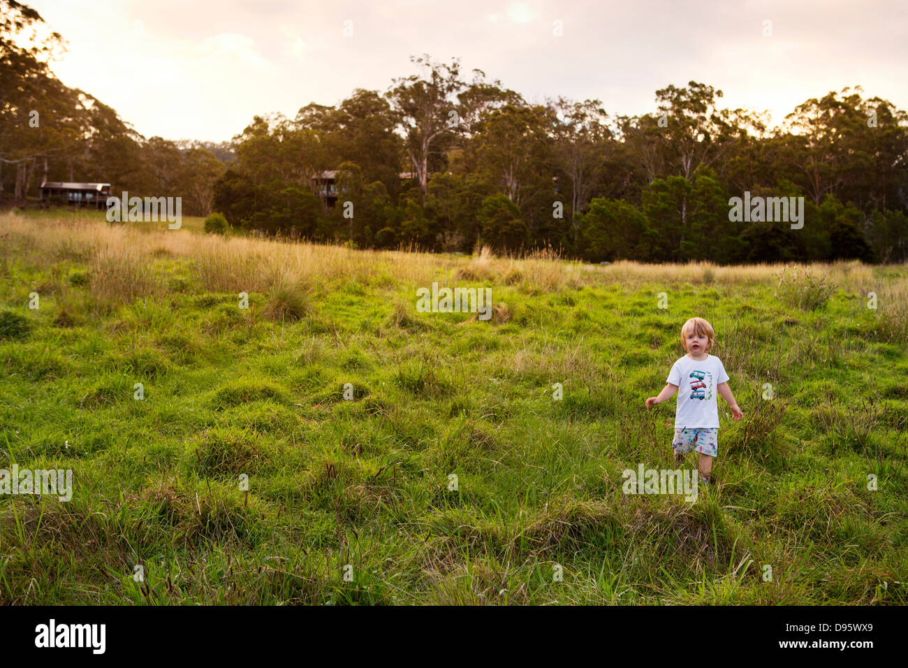 3 Jahre alter Junge in offenen Feldern umgeben von Bäumen spielt gerne Stockfoto