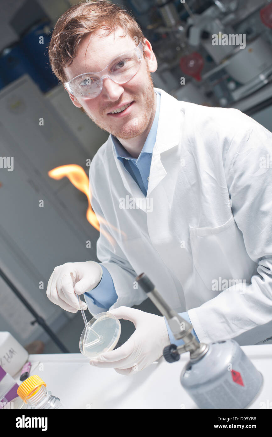 Deutschland, junge Wissenschaftler untersuchen Bakterien in Petri Desch Stockfoto