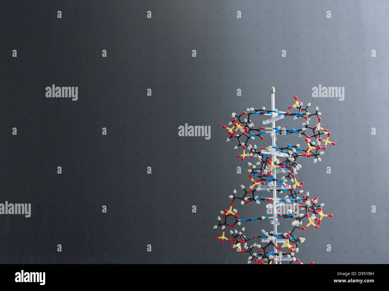 Deutschland, Modell des DNA-Moleküls vor Tafel Stockfoto