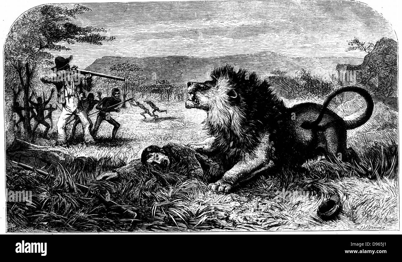 David Livingstone (1813-1873) durch Mebalwe, eine native Schulmeister von einem Löwen gerettet. Von "Missionar reist und erforscht in Südafrika" David Livingstone (London 1857). Gravur. Stockfoto