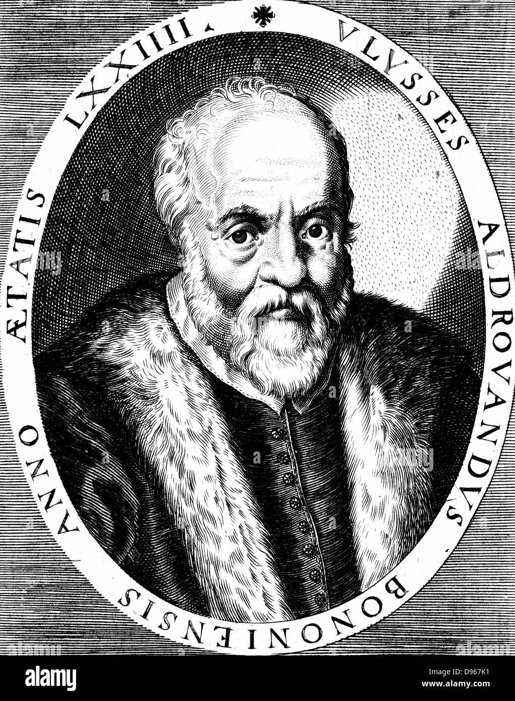 Ulisse Aldrovandi (1522-1605) italienischer Botaniker, Naturforscher und Arzt. Veröffentlichte illustrierte Bücher über Fische, Vögel und Insekten. 16. jahrhundert Kupferstich. Stockfoto