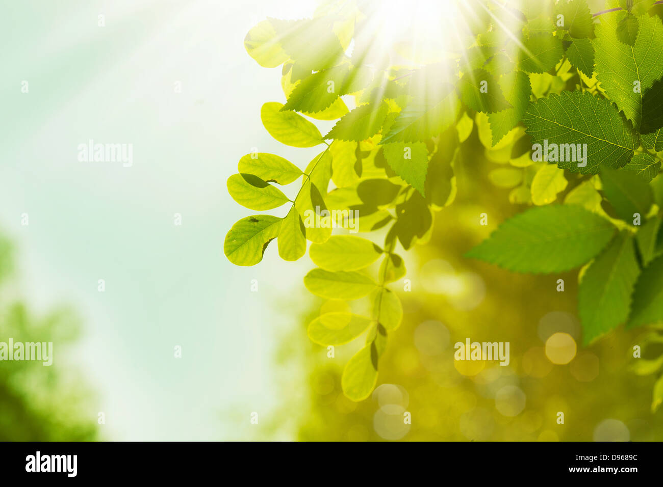 Grüne Welt, abstrakte ökologische Hintergründe für Ihr design Stockfoto
