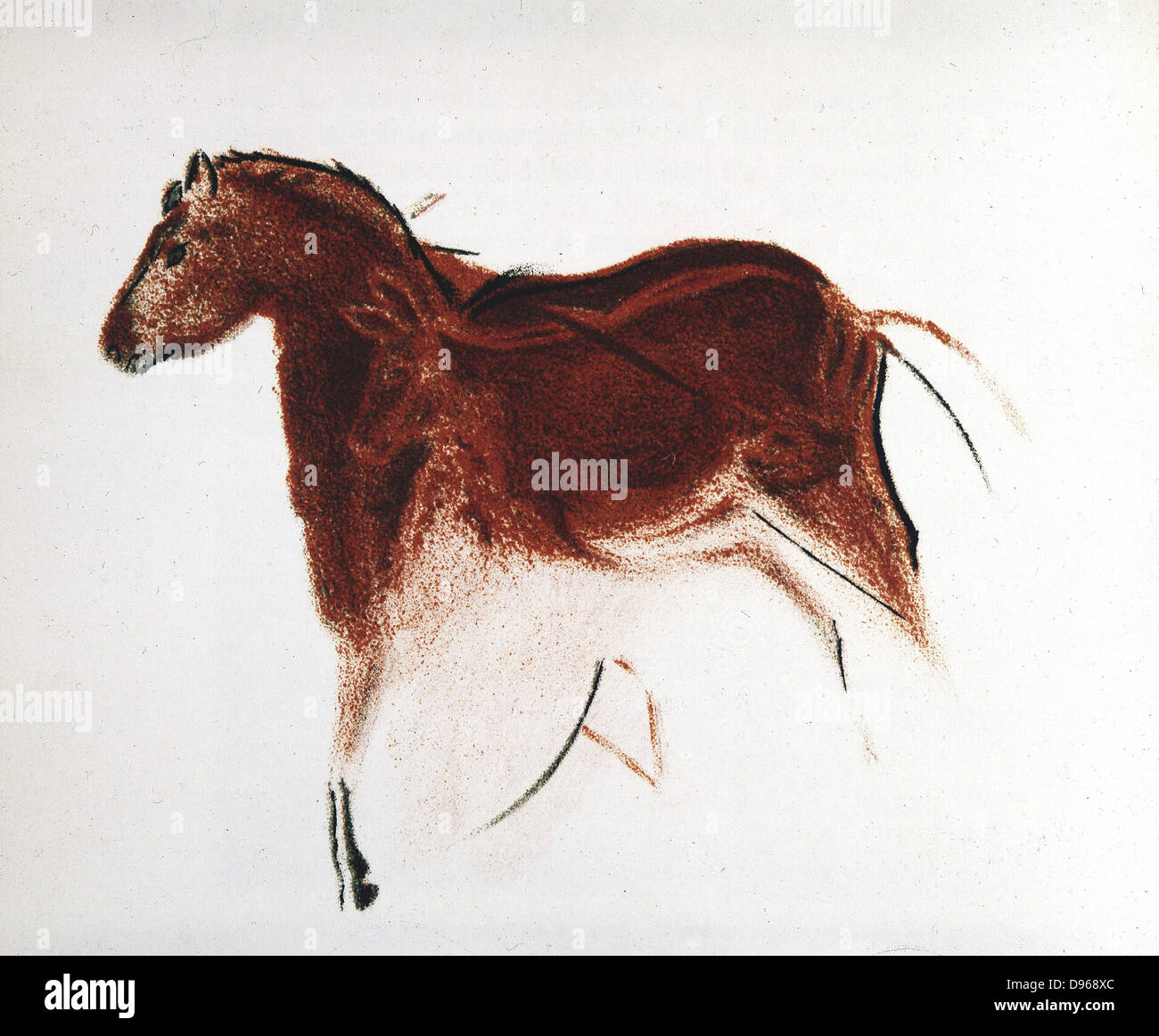Pferd und Hind: paläolithische Höhlenmalerei aus Altimira Südspanien. Lithographie Stockfoto