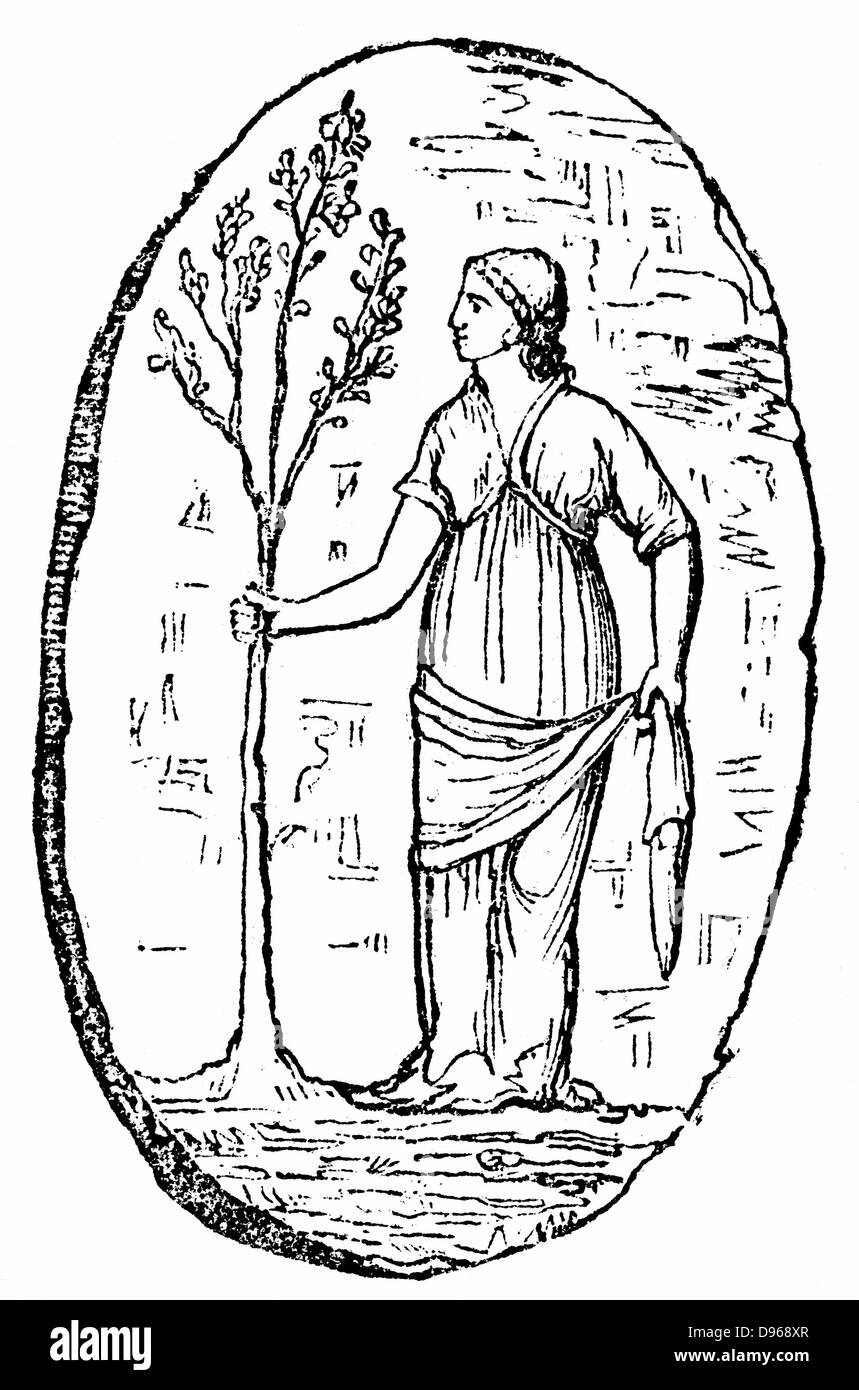 Minerva, antike römische Göttin Pallas Athene in der griechischen Pantheon. Minerva Holding ein junger Olivenbaum. Der Legende nach schuf sie das Olivenöl als notwendiges und nützliches Geschenk an den Menschen. Gravur nach einer Dichtung von Ithaka. Stockfoto
