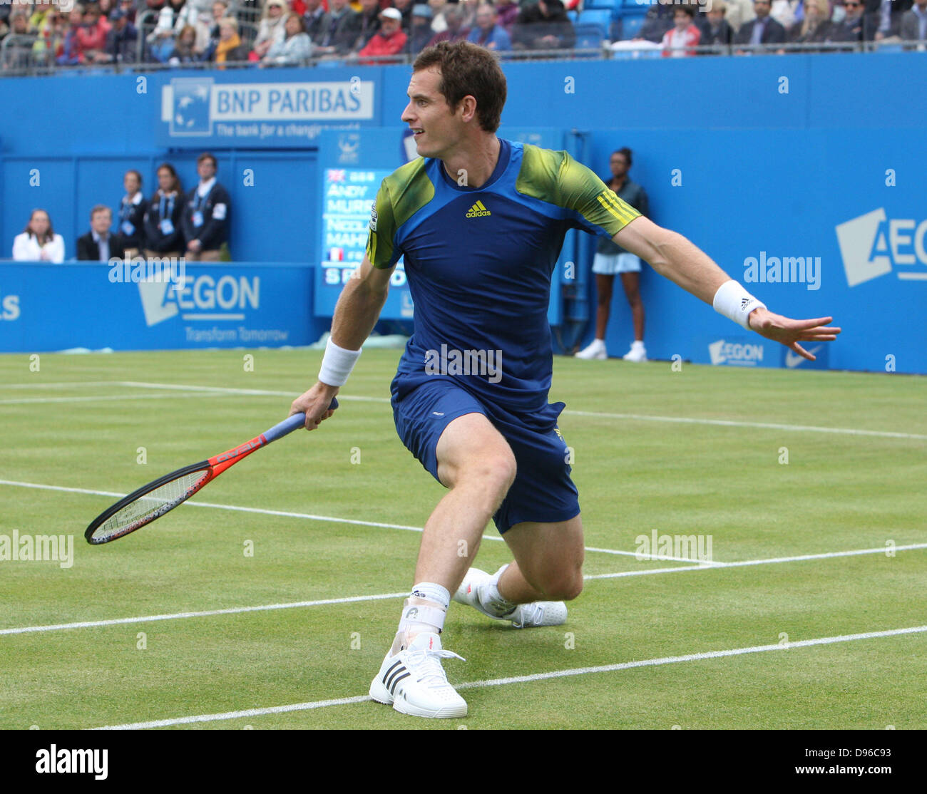 London, UK. 12. Juni 2013. Andy Murray (GBR) V Nicolas Mahut (FRA) während der Aegon Championships von The Queen Stockfoto