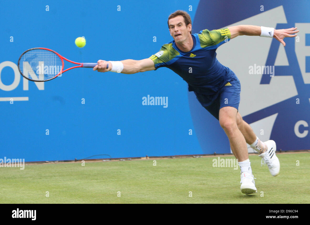 London, UK. 12. Juni 2013. Andy Murray (GBR) V Nicolas Mahut (FRA) während der Aegon Championships von The Queen Stockfoto