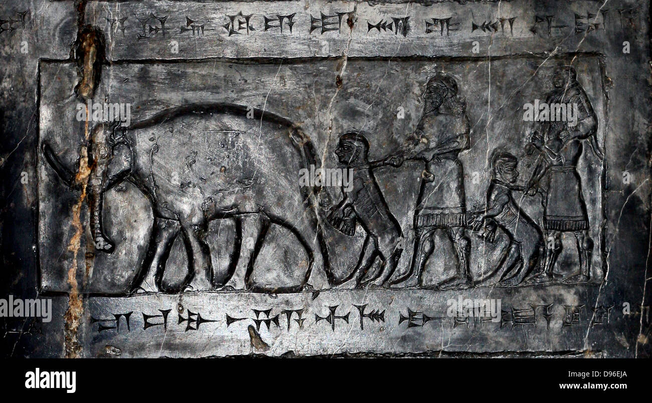 Der schwarze Obelisk von Salmanassar III (858-824 v. Chr.). Assyrische, von Nimrud. Der fine-grain Schwarz Kalkstein Streifen in Weiß. Es zeichnet Kampagnen des Königs und Ehrungen, die ihm gegeben. Stockfoto