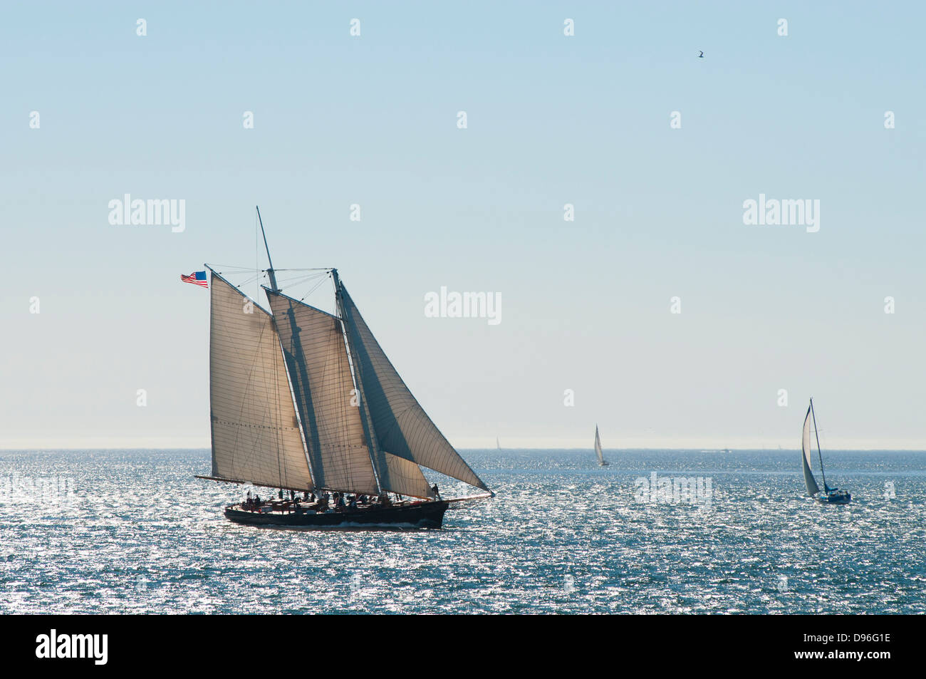 Segelschiffe in den Pazifik bei San Diego, California, Vereinigte Staaten von Amerika Stockfoto