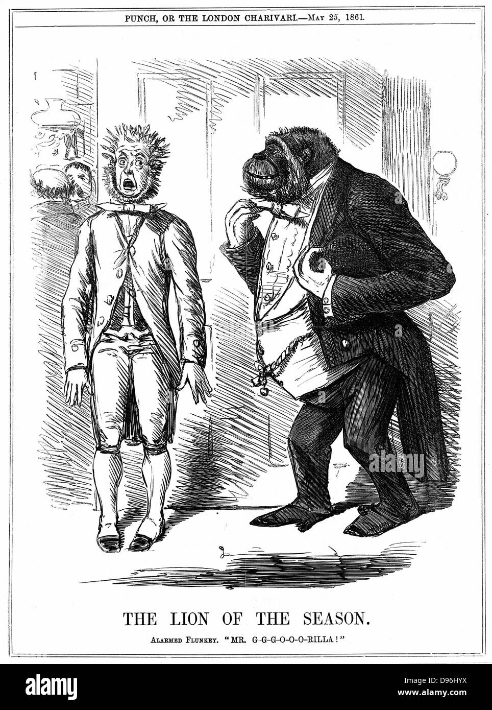 Der Löwe der Saison": John Lauge Karikatur aus "Punch" London, 25. Mai 1861, während die Kontroverse über Darwins "Entstehung der Arten" wütete. Gravur Stockfoto