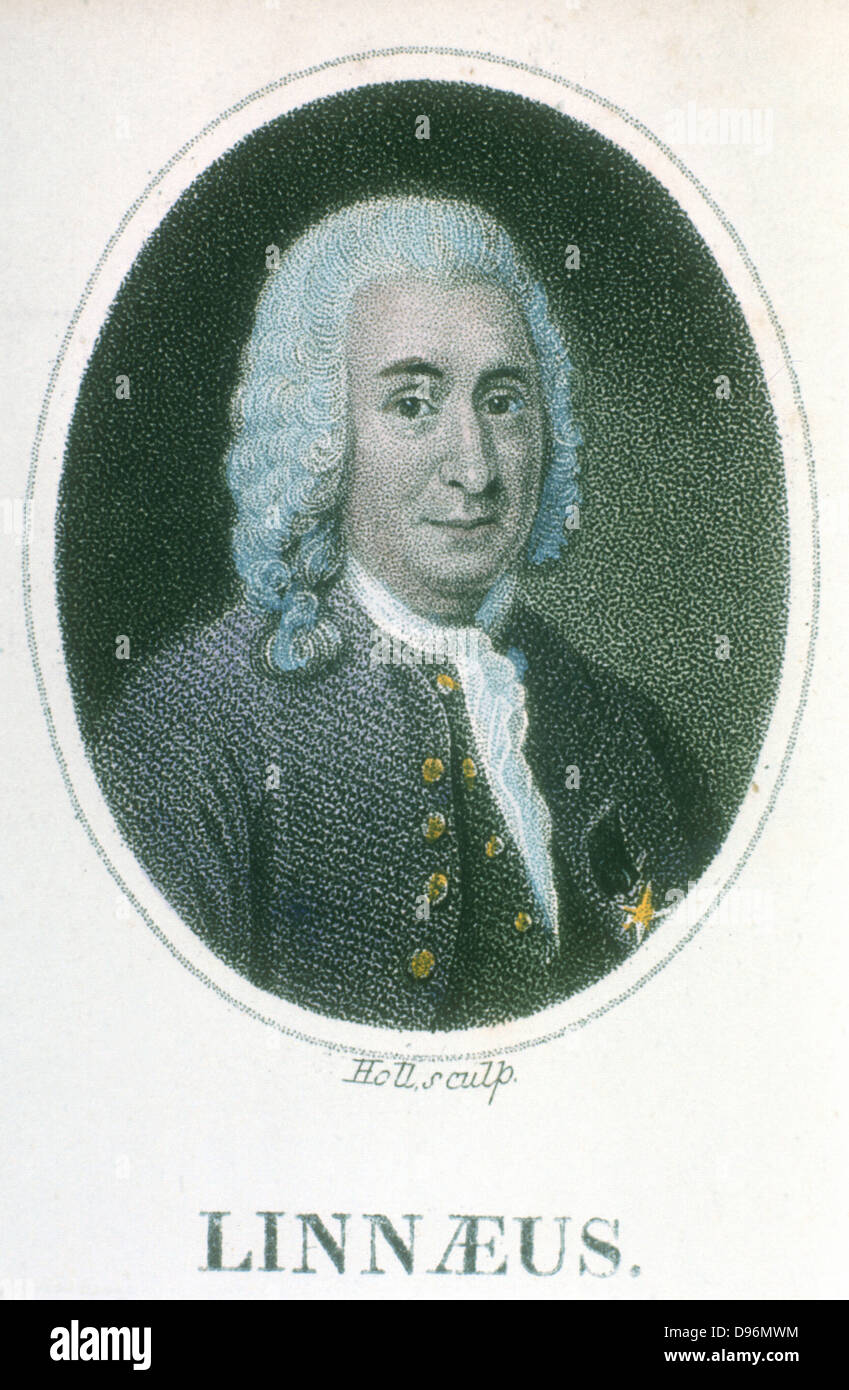 Carl von linne oder linnaeus Fotos und Bildmaterial in hoher