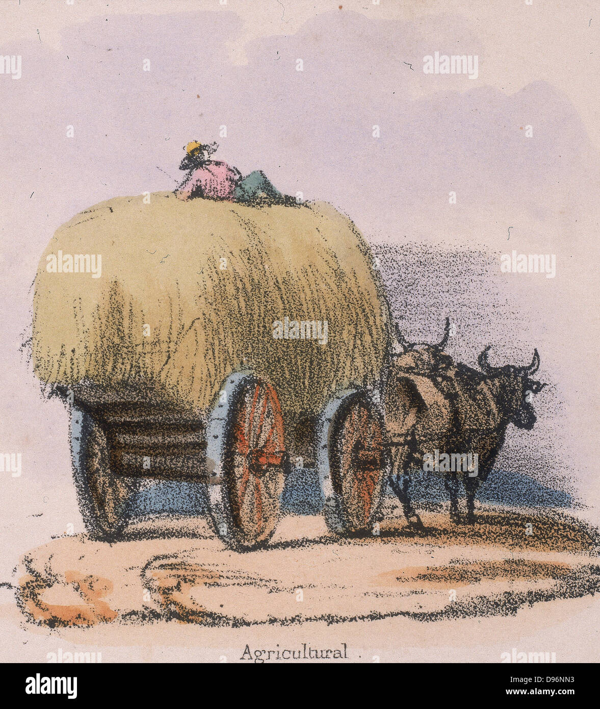 Haycart von Ochsen gezogen. Von "Grafischen Abbildungen von Tieren und deren Utility für den Menschen" London, c1850. Stockfoto