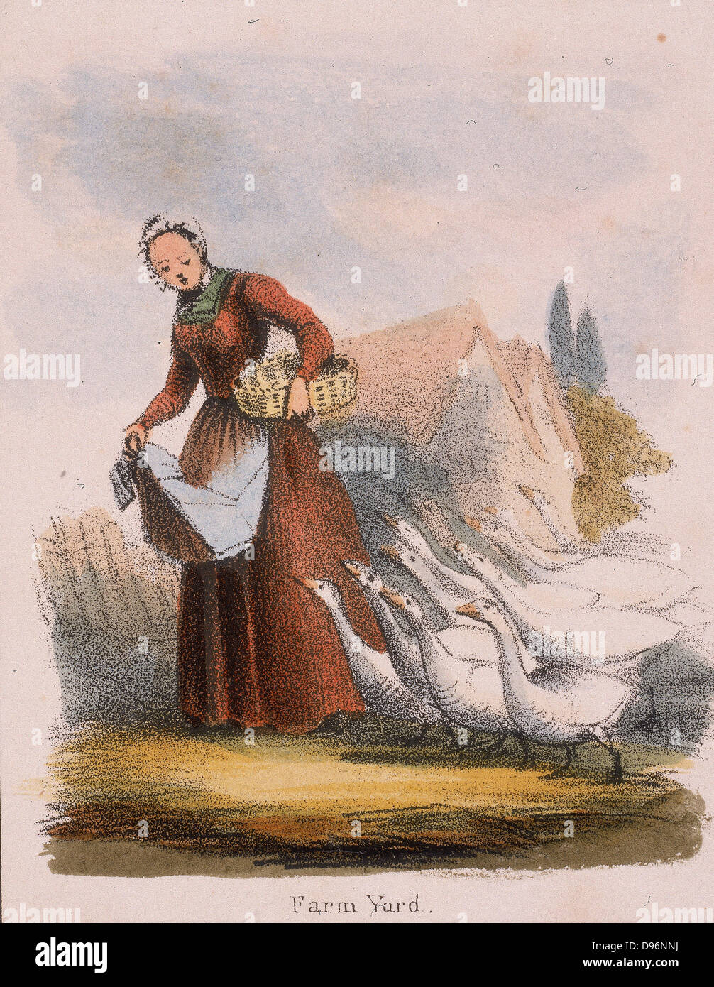 Gänsemagd mit ihrem Vogelschwarm. Von "Grafischen Abbildungen von Tieren und deren Utility für den Menschen" London, c1850. Stockfoto