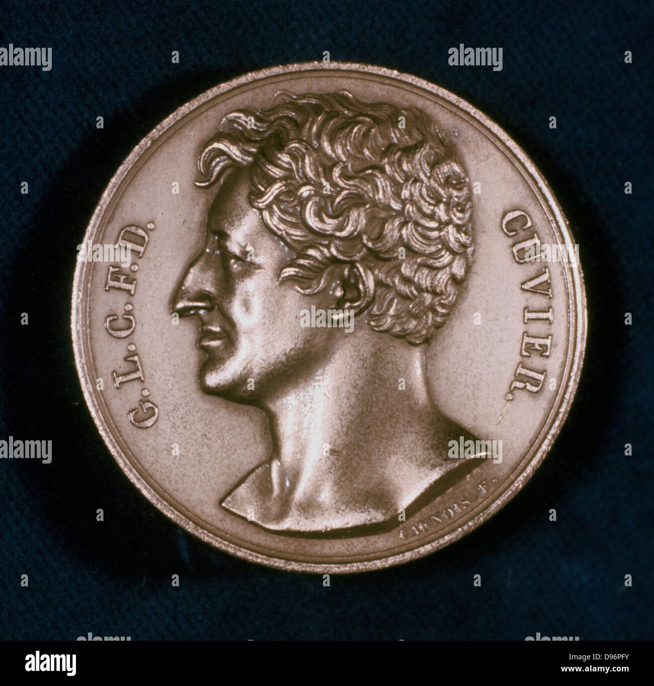 Georges Leopold Chretien Frederic Dagobert, Baron Cuvier, französischer Anatom, 19. Cuvier (1769-1832) war er einer der Gründer der vergleichenden Anatomie und Vater der Paläontologie. Er erweiterte die Linnaeus System der Klassifizierung, Gruppierung, Klassen in Stämmen. Cuvier gegen Theorien der Evolution und der lamarck Theorie der Vererbung erworbener Eigenschaften (transformismus), stattdessen schlägt eine Catastrophist Theorie der Neuen Schöpfung des Lebens nach periodischen globalen Katastrophen. Vorderseite eine Erinnerungsmedaille. Stockfoto