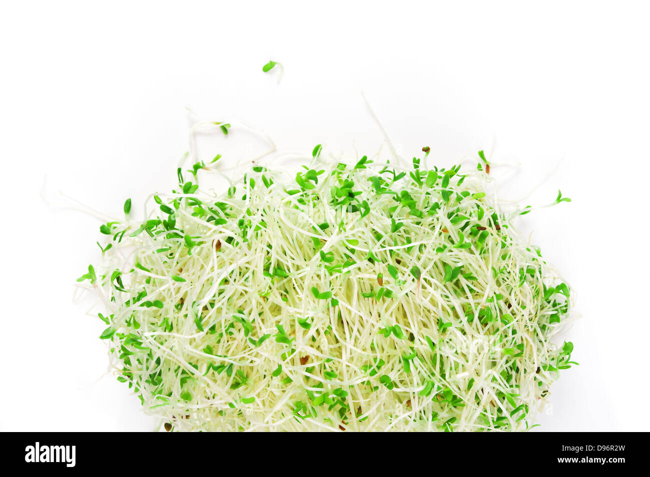 Haufen von Alfalfa Sprossen auf weißem Hintergrund Stockfoto