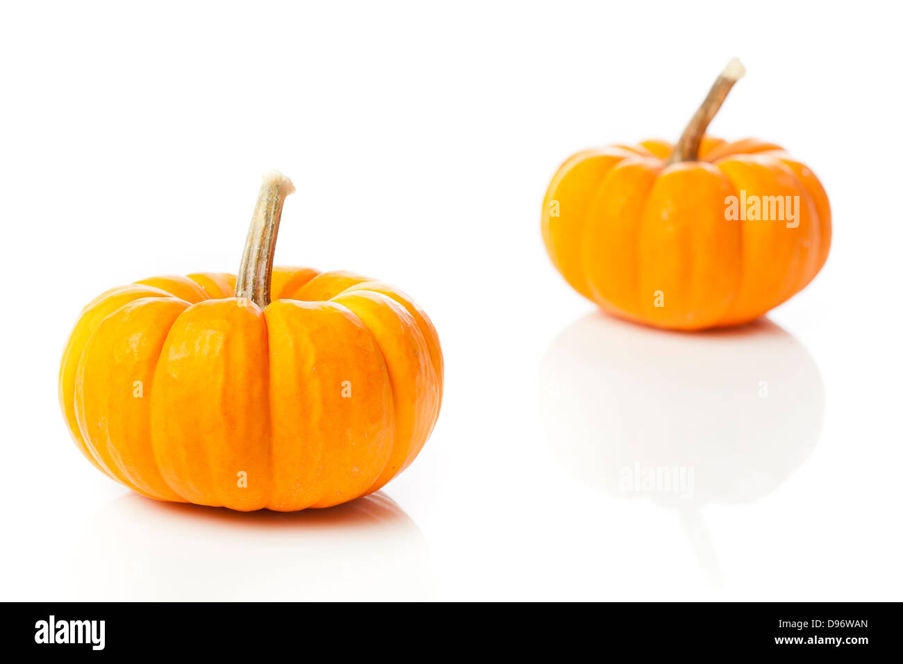 Frische Orange Bio Kürbis vor dem Hintergrund Stockfoto