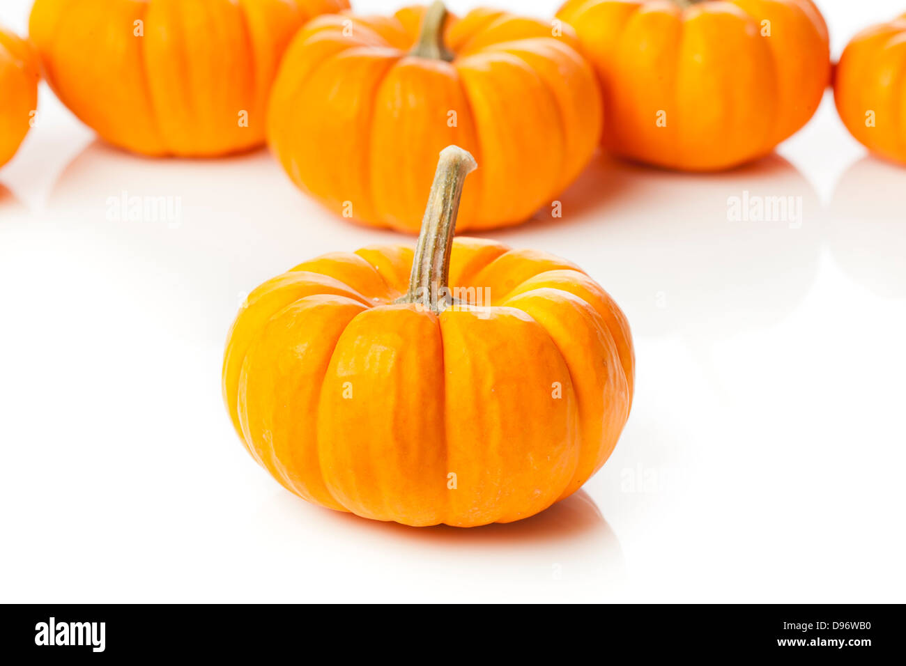 Frische Orange Bio Kürbis vor dem Hintergrund Stockfoto