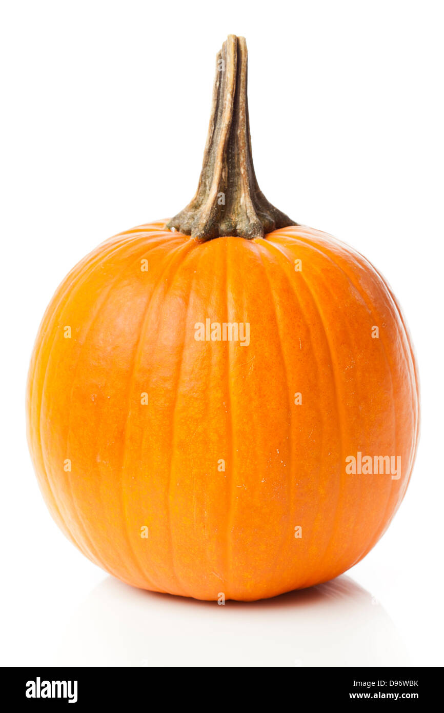 Frische Orange Bio Kürbis vor dem Hintergrund Stockfoto