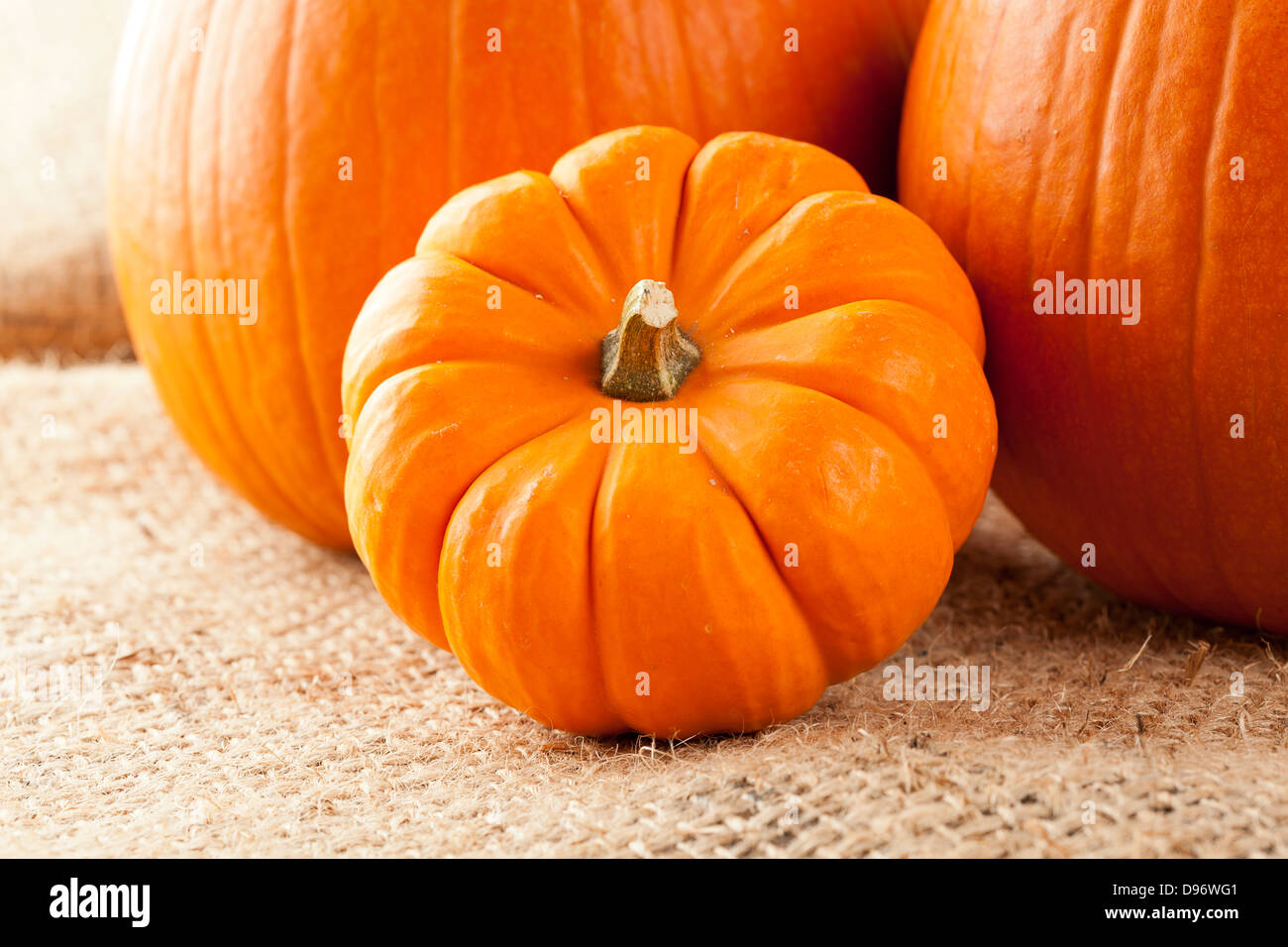 Frische Orange Bio Kürbis vor dem Hintergrund Stockfoto