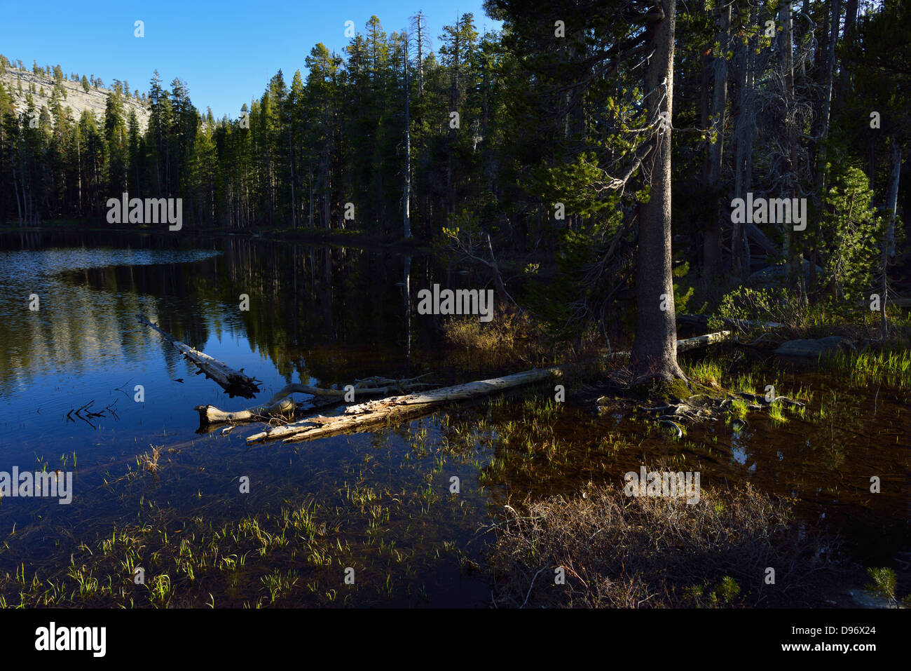 Yosemite Nationalpark, Kalifornien Stockfoto