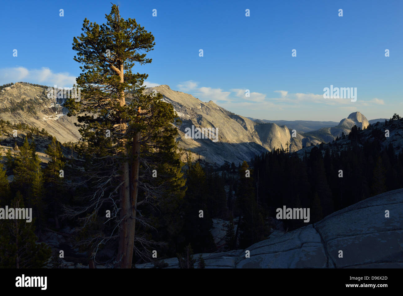 Yosemite Nationalpark, Kalifornien Stockfoto