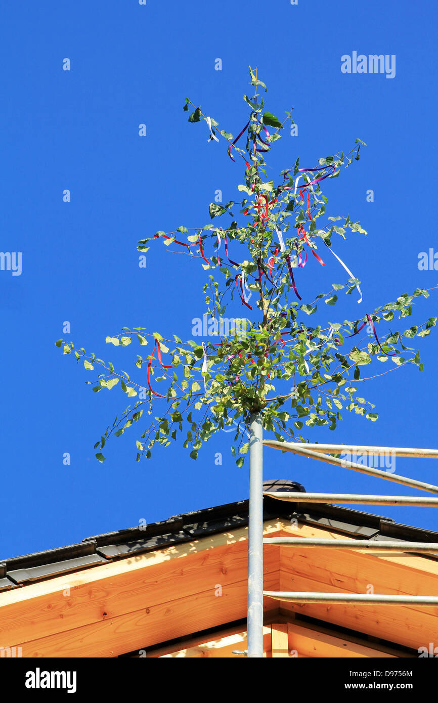 Deutschland, Bayern, Ansicht von Richtfest Baum Stockfotografie - Alamy