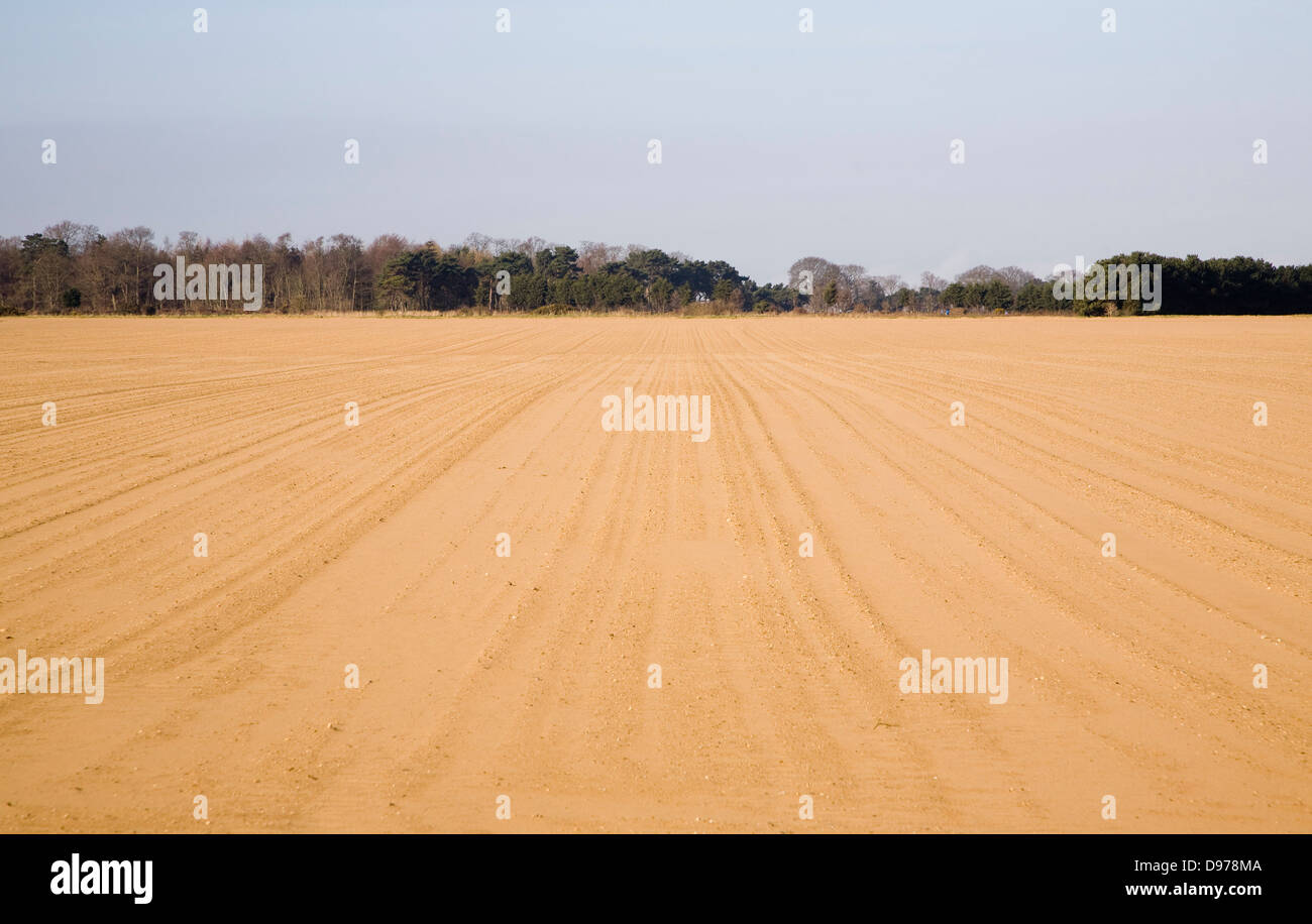 Sandigen Boden in Bereichen, die nach einem starken Sturm, Suffolk Sandlings bei Alderton, Suffolk, England Stockfoto