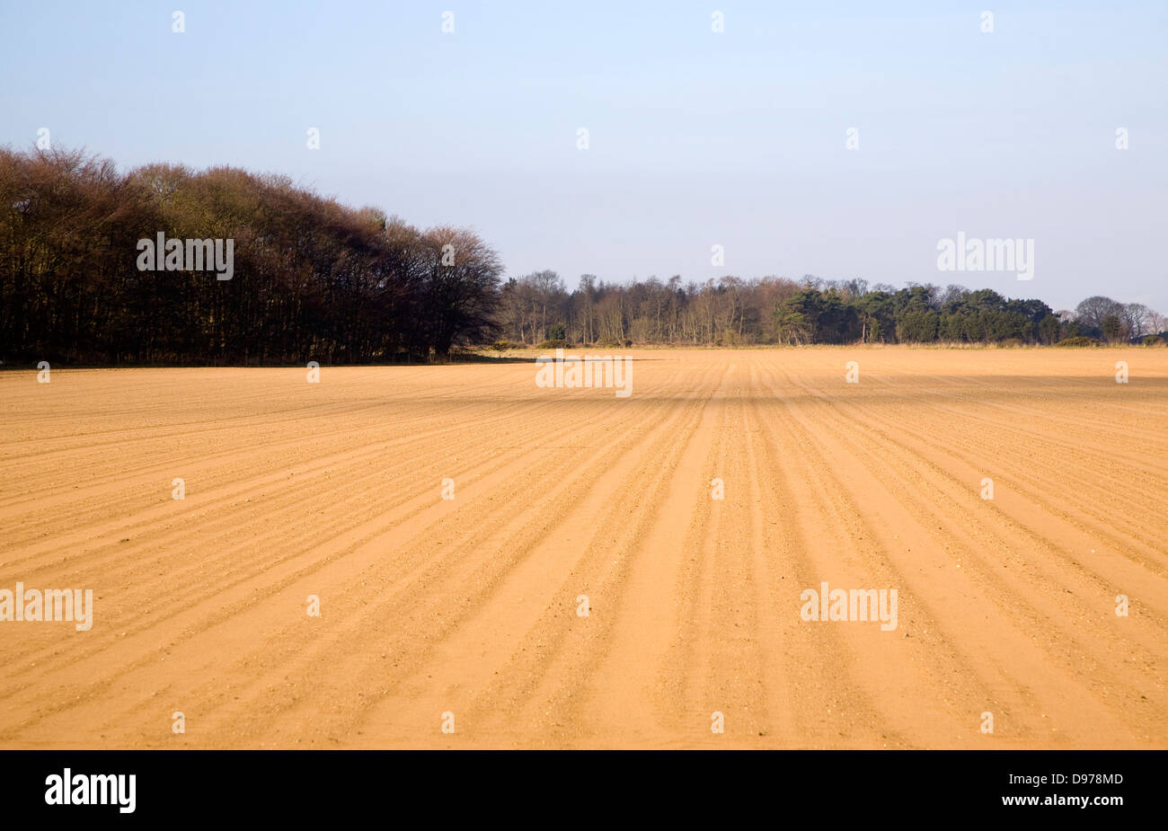 Sandigen Boden in Bereichen, die nach einem starken Sturm, Suffolk Sandlings bei Alderton, Suffolk, England Stockfoto