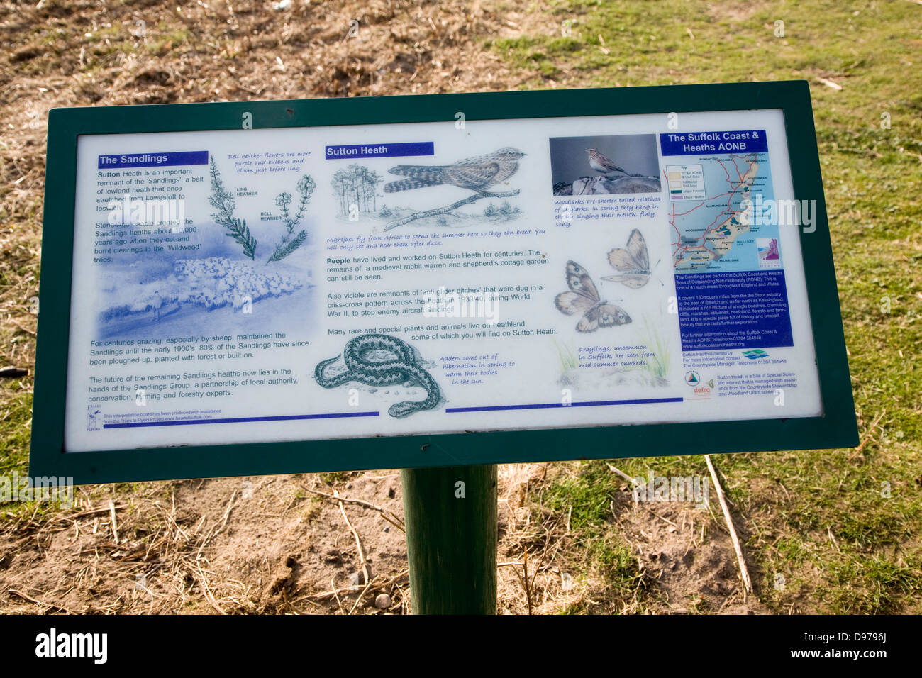 Infotafel über Naturgeschichte der Sandlings Heide in Sutton Heath, Suffolk, England Stockfoto