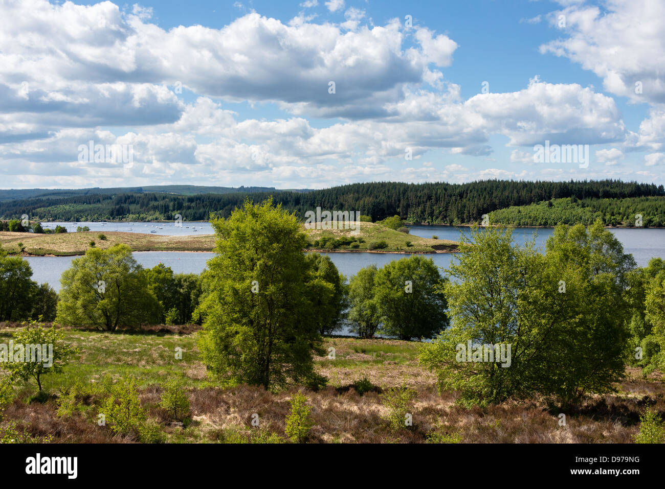 Kielder Wasser und Wald in Northumberland Stockfoto
