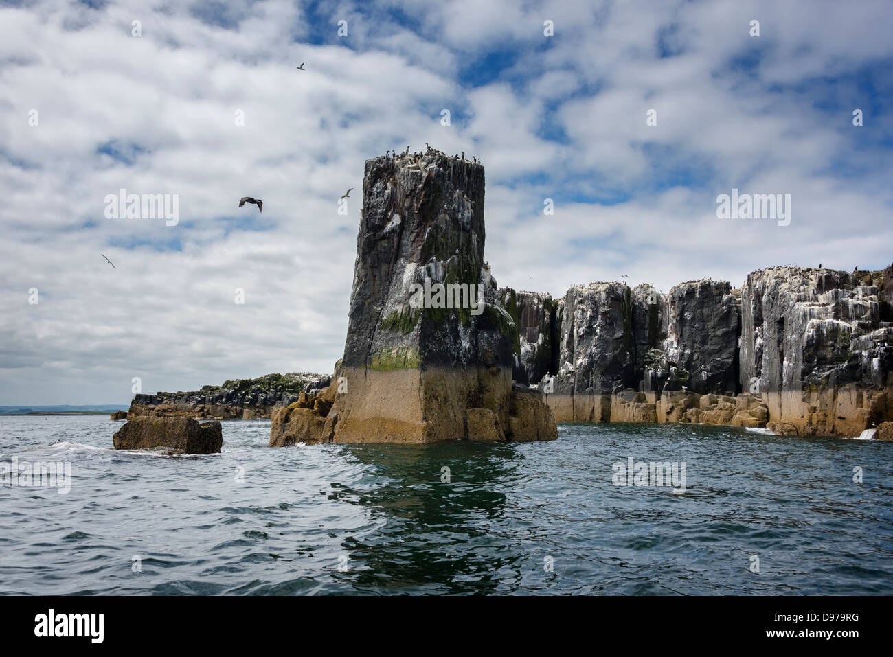 Eines der Grundnahrungsmittel Insel "Zinnen" Meer-Stacks von Grundnahrungsmittel Insel eines der Farne Islands Stockfoto