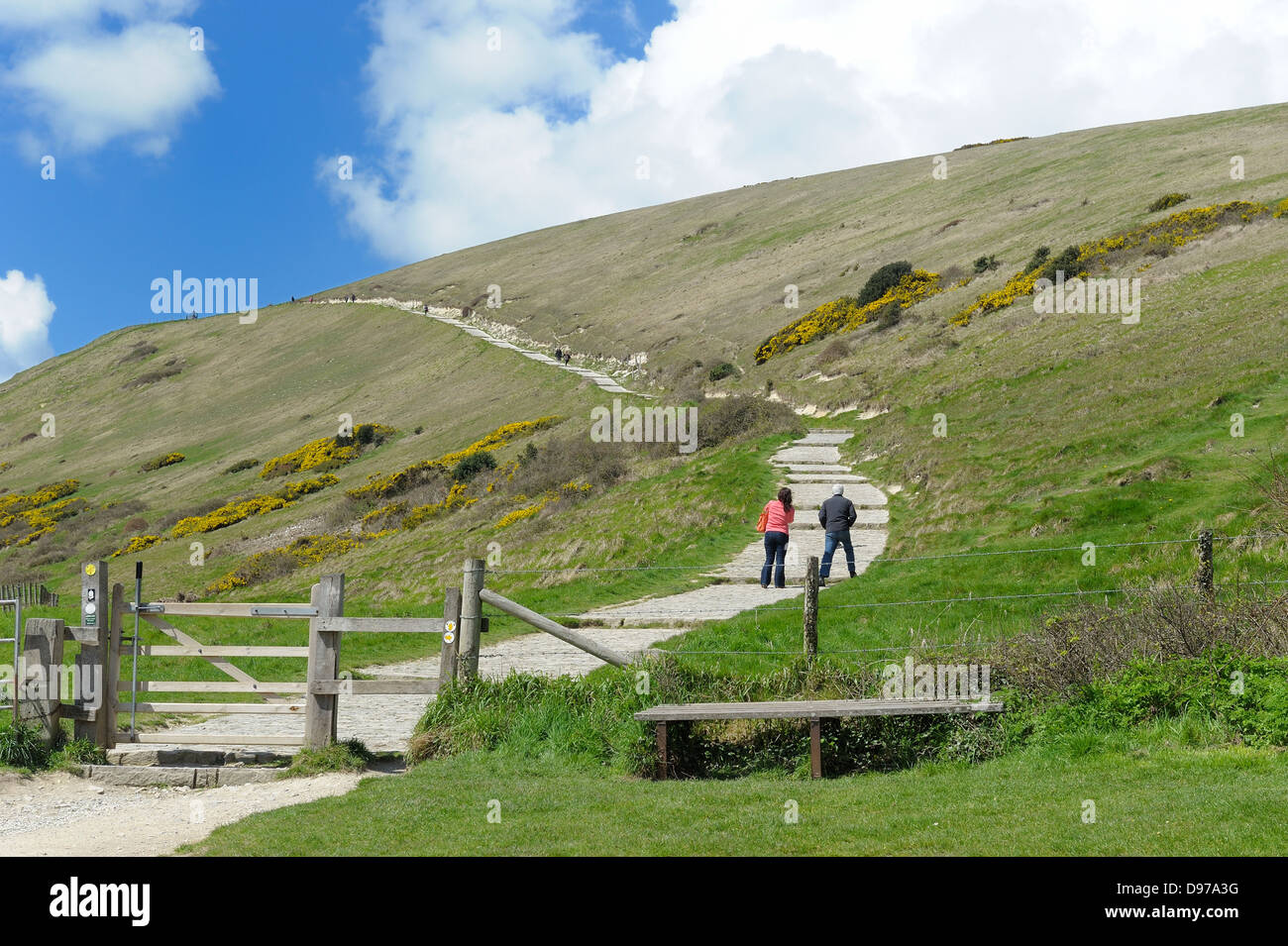 Der Küste Fußweg von Lulworth Cove Durdle Door Dorset England UK Stockfoto