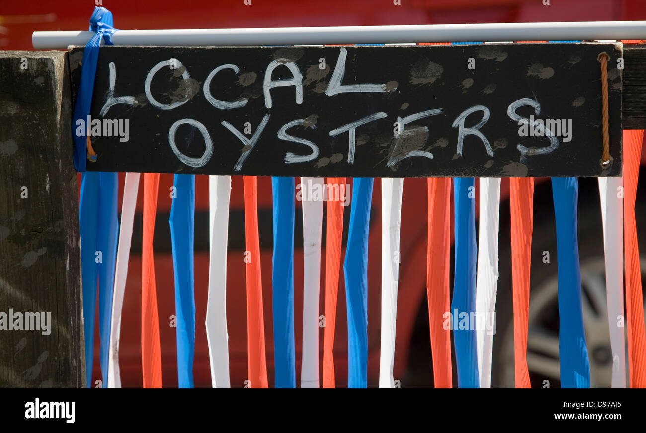 Melden Sie für lokale Austern, Mersea Island, Essex, England Stockfoto