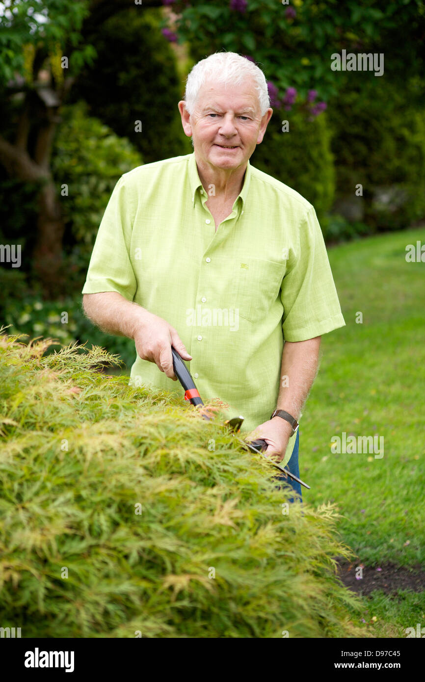 Siebziger Jahre Mann aktiven Ruhestand Lifestyle im Garten 70 Stockfoto