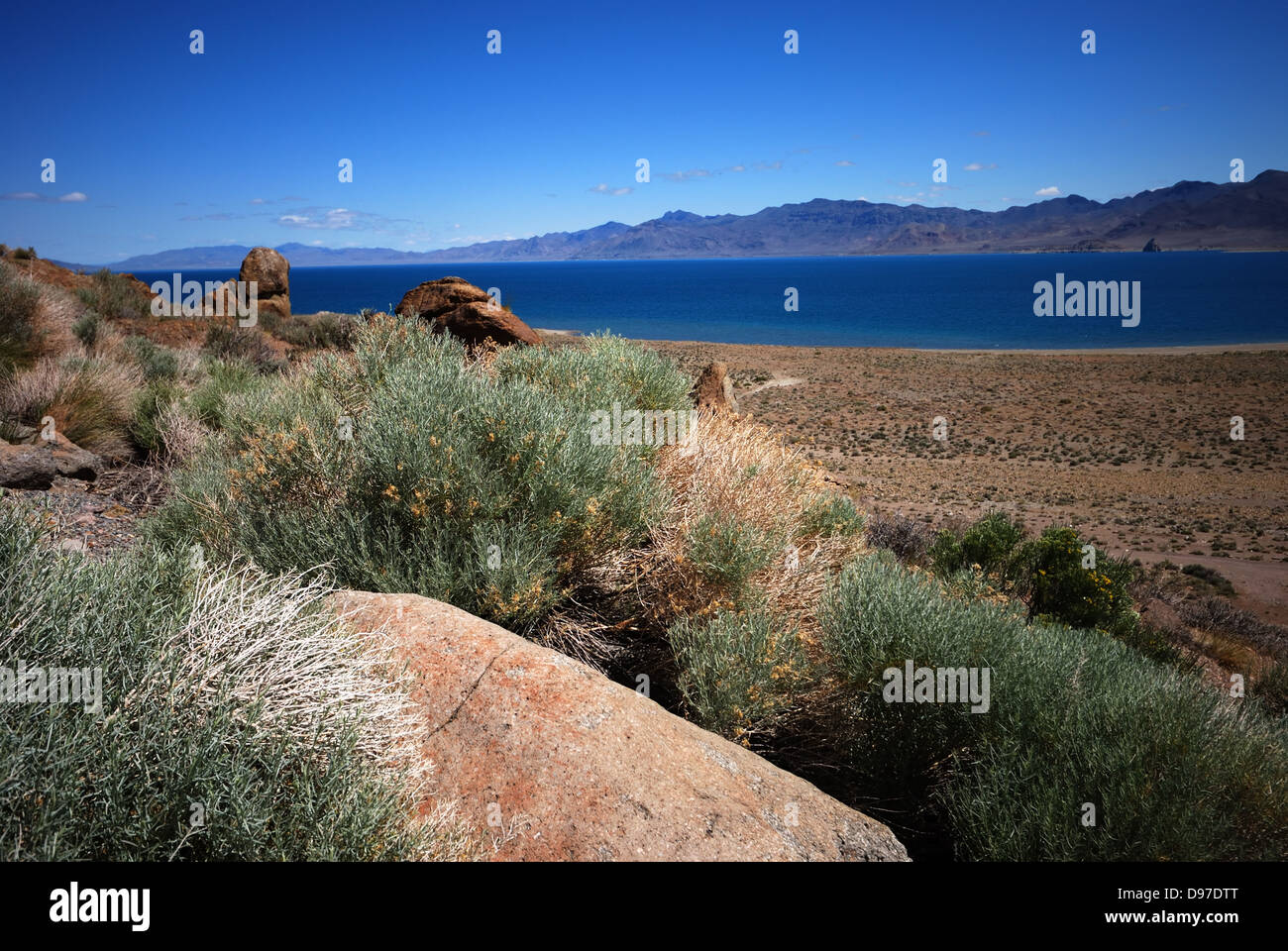 Pyramid Lake Nevada Stockfoto