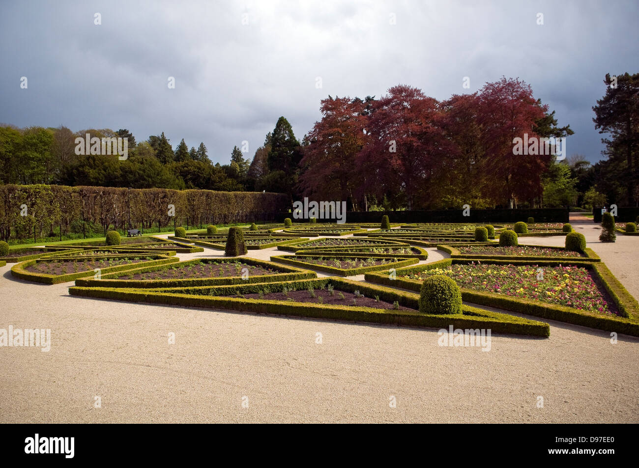 Antrim Castle Gardens, County Antrim, Nordirland, Vereinigtes Königreich Stockfoto