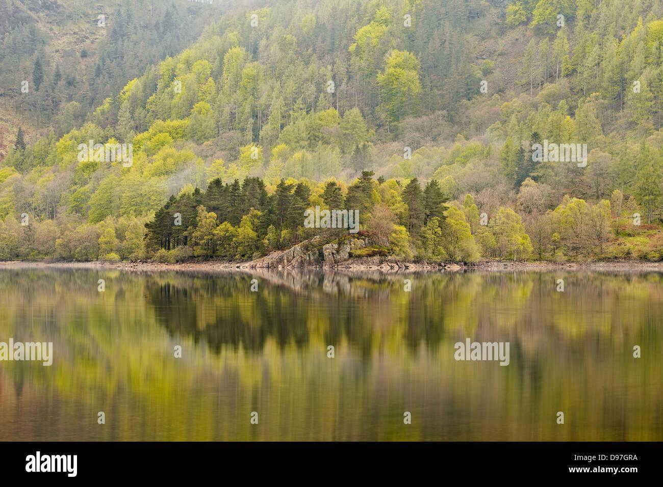 Thirlmere im Lake District an einem noch morgen. Stockfoto