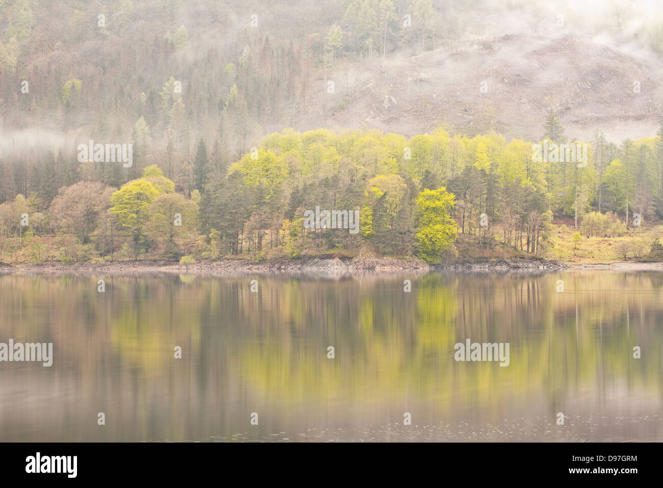 Thirlmere im Lake District an einem noch morgen. Stockfoto