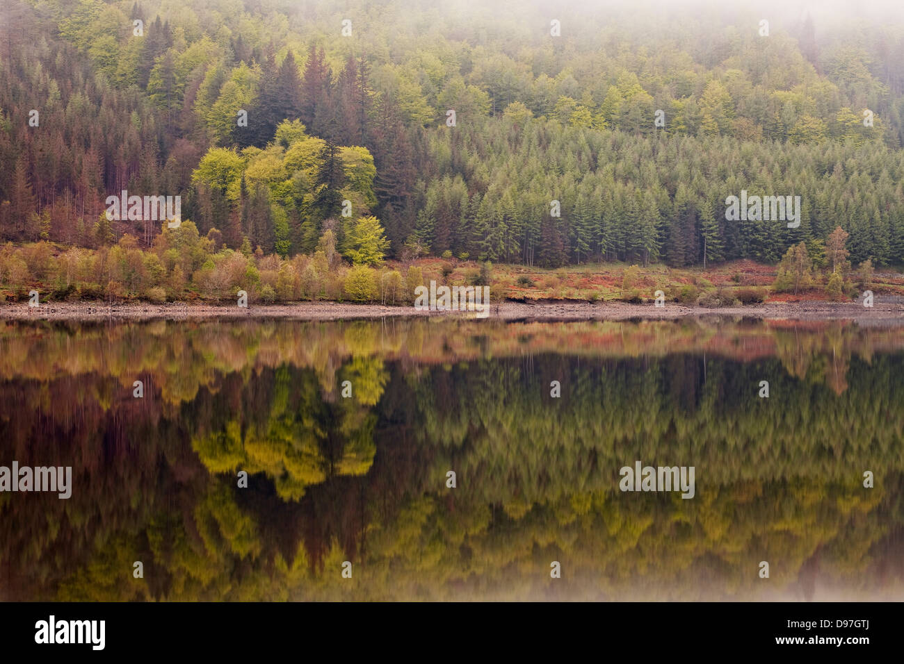 Thirlmere im Lake District an einem noch morgen. Stockfoto