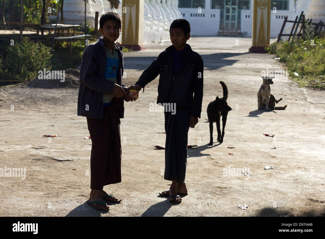 Jungen und Hunde in einem kleinen Dorf von Inle Lake, Myanmar Stockfoto