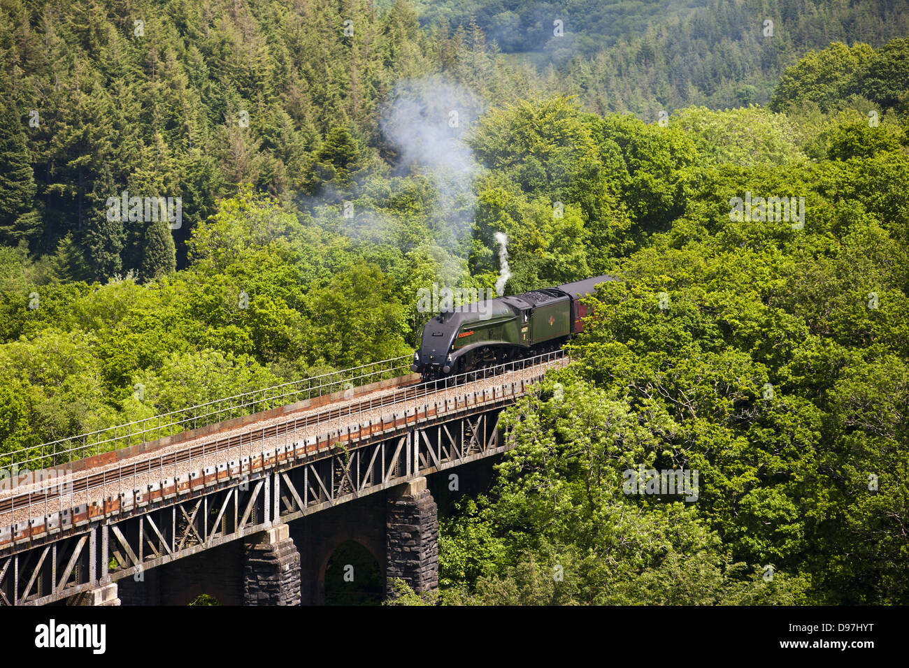 Die königlichen Herzogtums dämpfen über St Pinnock Viadukt in Cornwall Stockfoto