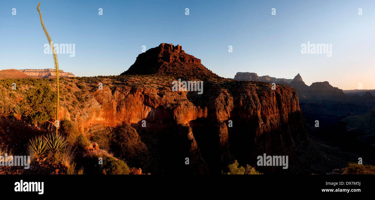 Teile des Grand Canyon National Park, im Horseshoe Mesa, nördlich von Flagstaff, Arizona, USA. Stockfoto